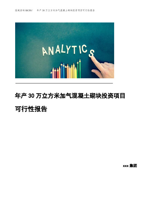 年产30万立方米加气混凝土砌块投资项目可行性报告 (2)