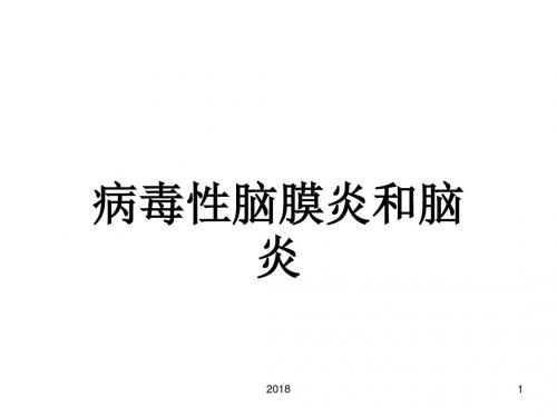 病毒性脑炎PPT参考课件