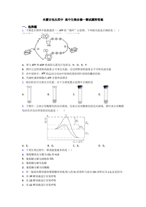 内蒙古包头四中 高中生物必修一测试题附答案