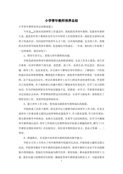 小学青年教师培养总结