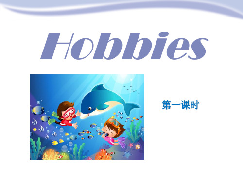 《Hobbies》优秀PPT