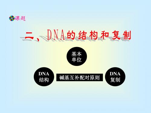 必修2 第3章 第2节 DNA的分子结构和复制