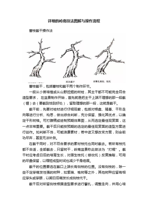 详细的岭南技法图解与操作流程