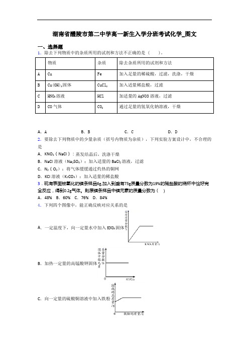 湖南省醴陵市第二中学高一新生入学分班考试化学_图文