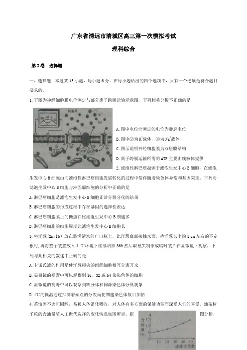 广东省清远市清城区2017届高三第二学期第一次模拟考试理综试卷