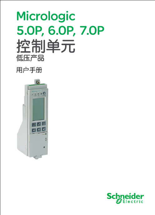 Mic_P型控制单元用户手册