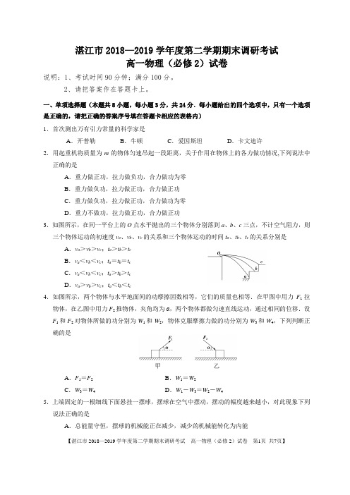 湛江市2018—2019学年度第二学期期末调研考试(高一物理必修2)试题+答案