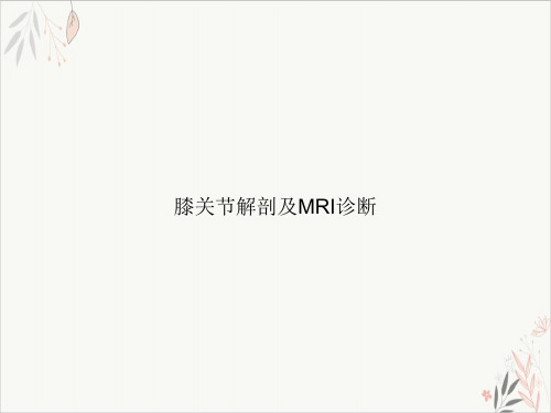 膝关节解剖及MRI诊断课件-PPT