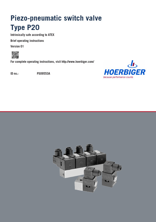 HOERBIGER P20型号压电气动开关阀简要操作说明书