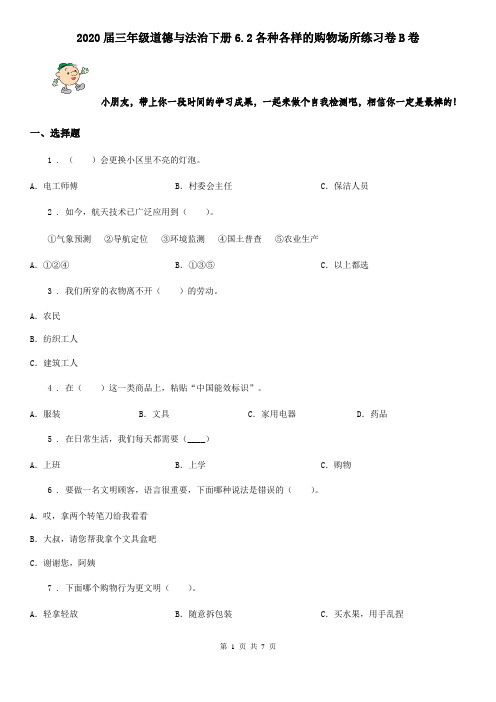 2020届三年级道德与法治下册6.2各种各样的购物场所练习卷B卷