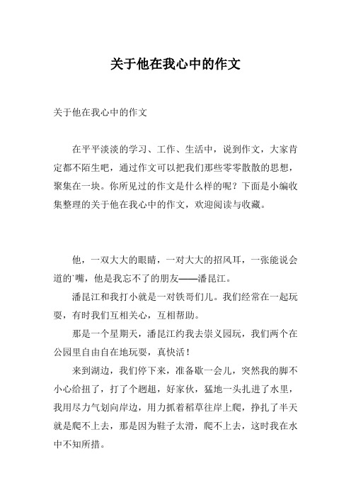 关于他在我心中的作文