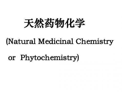 天然药物化学