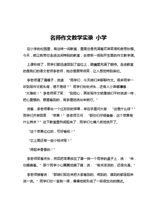 名师作文教学实录 小学