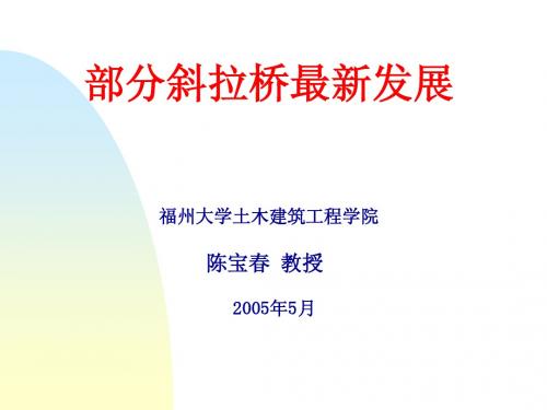 部分斜拉桥最新发展(0505大跨桥梁参观会)