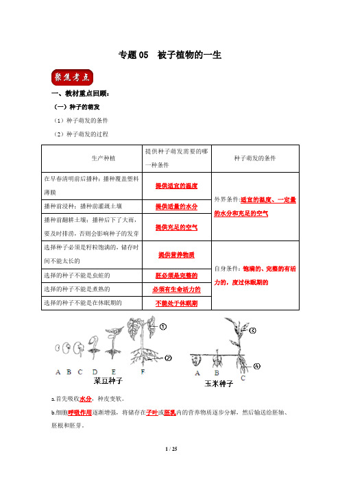 专题05 被子植物的一生-2020年中考生物必考必练精品(解析版)