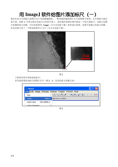 论文中的图片添加标尺