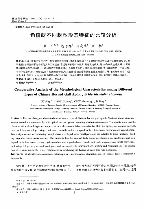 角倍蚜不同蚜型形态特征的比较分析