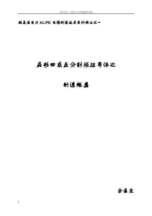 分割导体技术材之一(余益定)