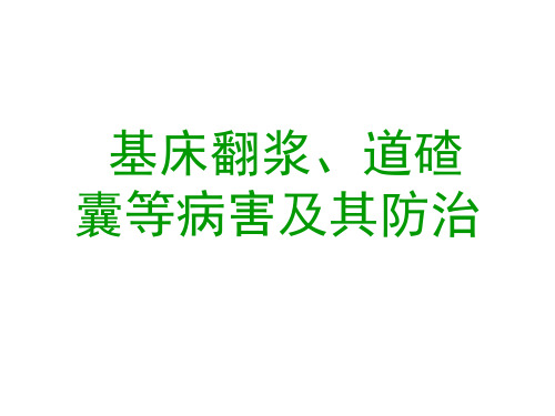 基床翻浆、道碴囊等病害及其防治