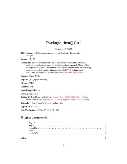 braQCA 1.2.1.29 用户指南说明书