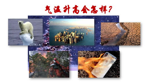 五年级说明文阅读的技巧