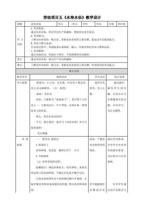 人教版《劳动教育》四上 劳动项目五《水培水仙》教案