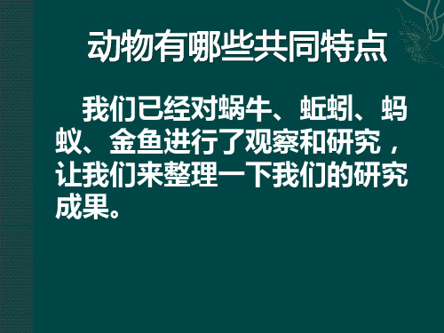 小学科学——动物有哪些共同特点