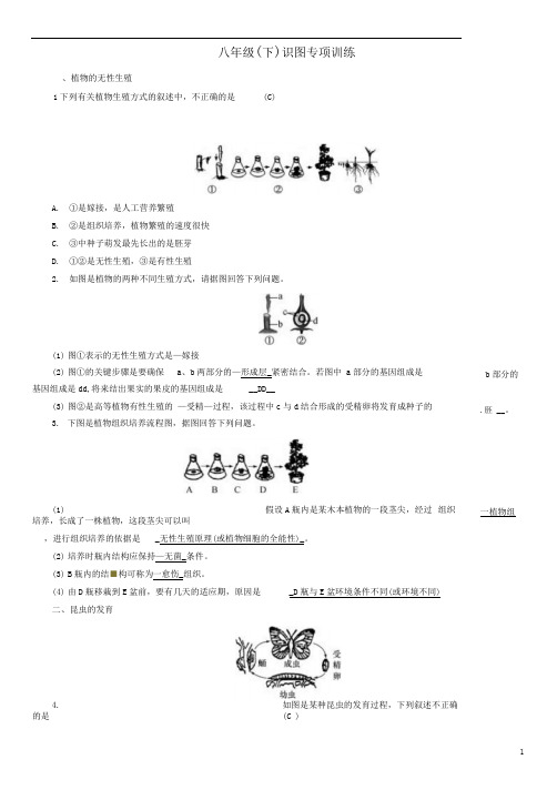 中考生物教材知识梳理第八单元降地生活八年级(下)识图专项训练