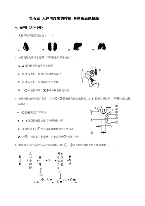 人教版生物七年级下册第五章 人体内废物的排出 易错图表题精编(包含答案)