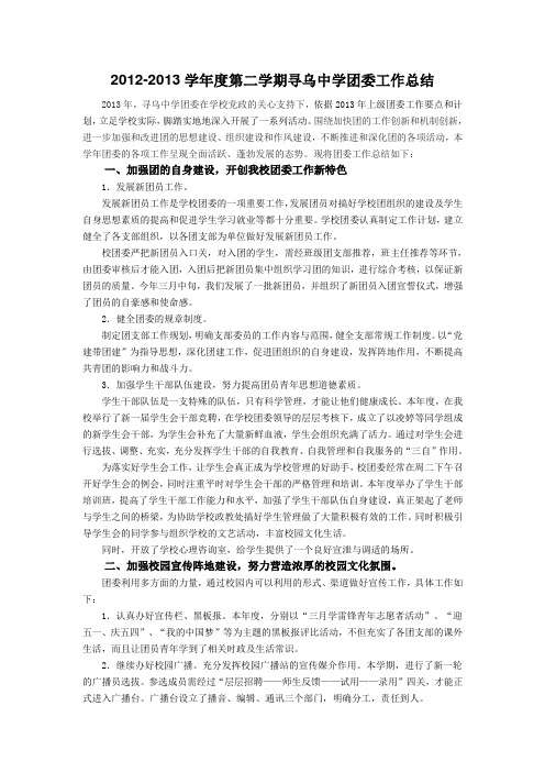 2013团委工作总结