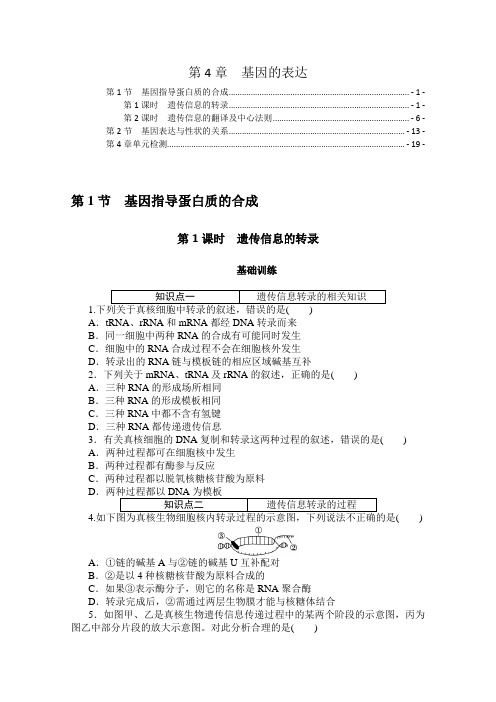 新教材人教版高中生物必修2第四章基因的表达课时分层练习题及章末综合测验 含解析