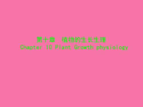 植物的生长生理ppt课件