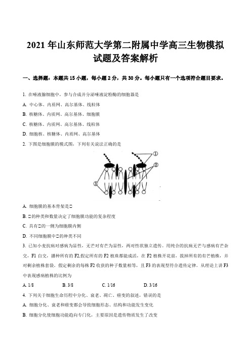 2021年山东师范大学第二附属中学高三生物模拟试题及答案解析