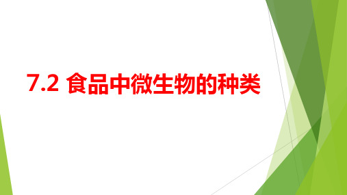 食品卫生微生物的检验—食品中微生物的种类(食品分析课件)