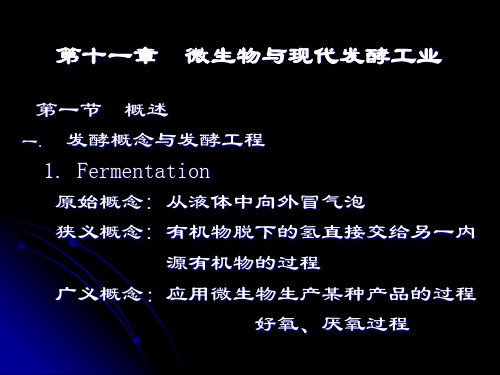 第十二章 微生物与现代发酵工业详解