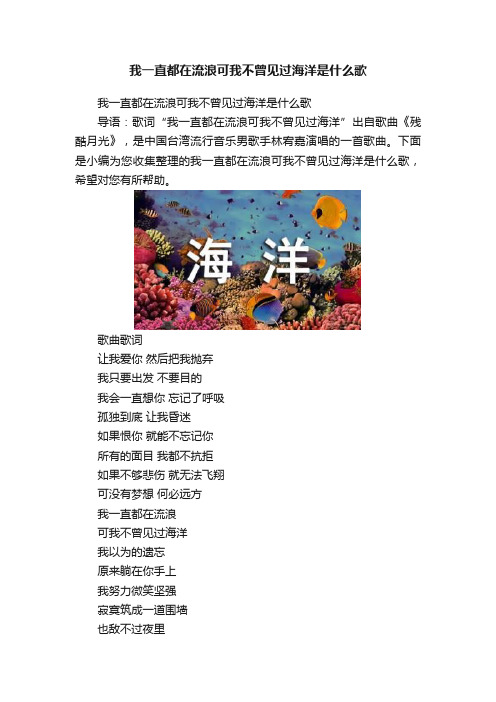 我一直都在流浪可我不曾见过海洋是什么歌