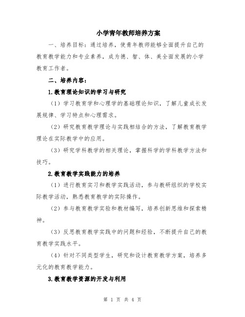 小学青年教师培养方案