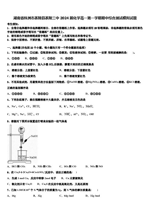 湖南省株洲市茶陵县茶陵三中2024届化学高一第一学期期中综合测试模拟试题含解析