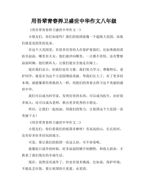 用吾辈青春捍卫盛世中华作文八年级