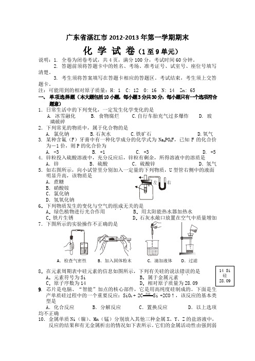 广东省湛江市2012-2013年第一学期期末化学考试(1至9单元)及答案 