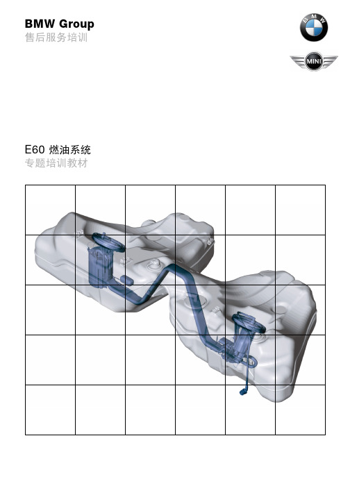 汽修资料--宝马5系-E60_fuelsys_chs