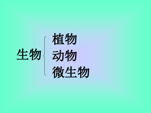 冀少版生物七年级上册第一单元第一章第一节 走进生物实验室课件(32张ppt)