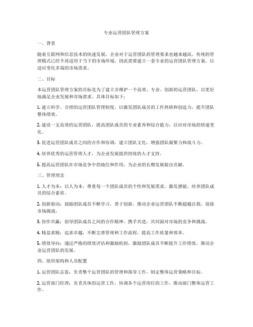 专业运营团队管理方案