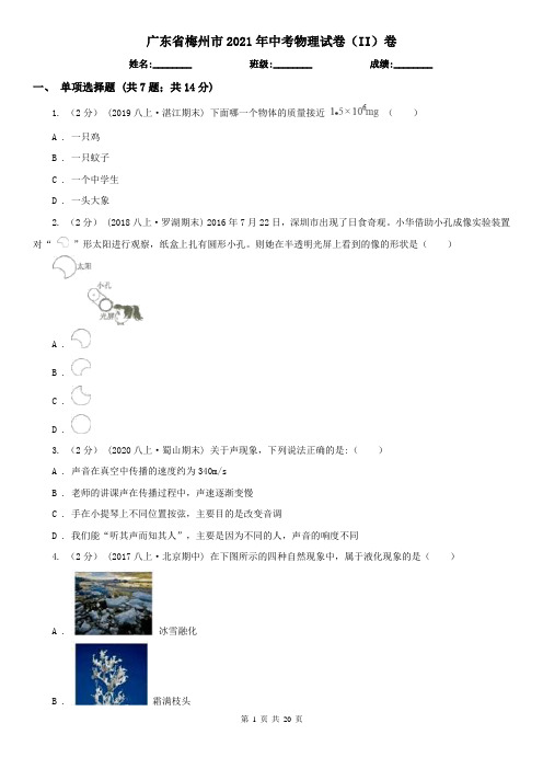 广东省梅州市2021年中考物理试卷(II)卷