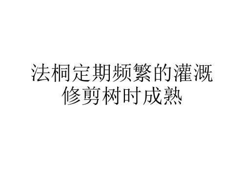 法桐定期频繁的灌溉修剪树时成熟