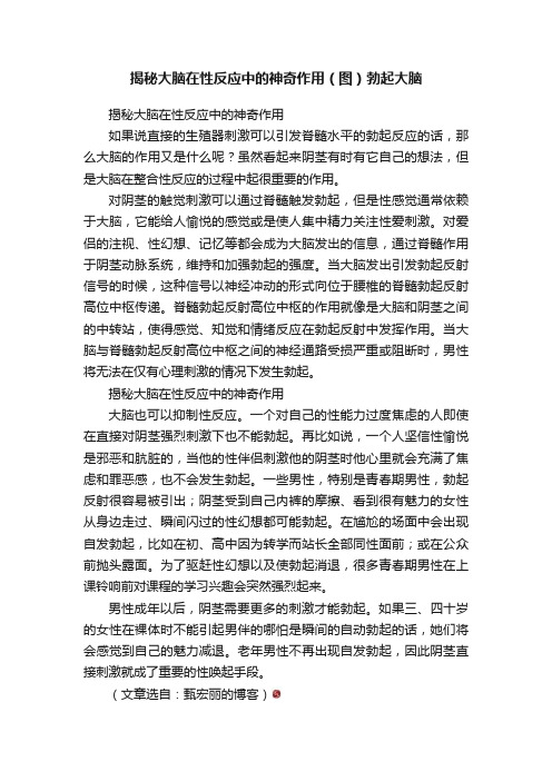 揭秘大脑在性反应中的神奇作用（图）勃起大脑