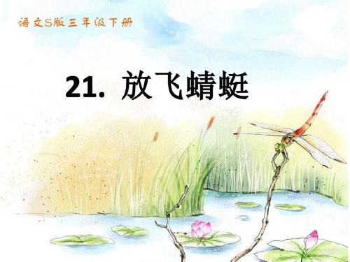 21.放飞蜻蜓.PPT