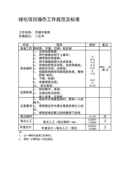 服务项目工作规范