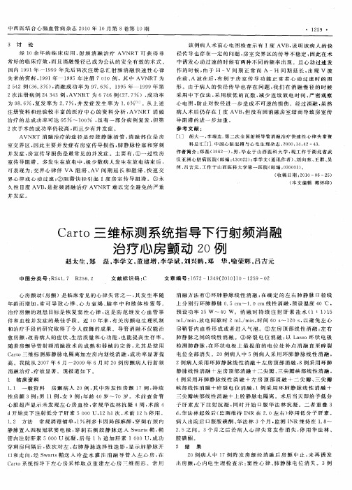 Carto三维标测系统指导下行射频消融治疗心房颤动20例