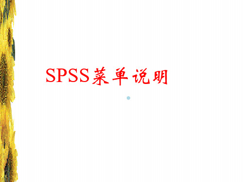 SPSS菜单说明